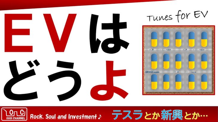 米国株と音楽紹介　EVテーマ投資について　テスラ・新興メーカーなど 　♪ 電気グルーヴ （説明欄から🎶）