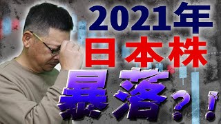 【日経】2021年日本株は暴落する？！その時のための準備は何をしたら良い？