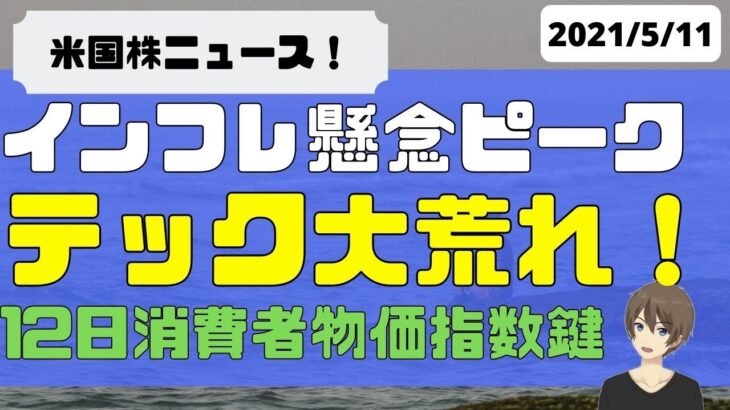 [米国株]インフレ懸念ピーク。テック大荒れ！12日消費者物価指数が鍵！