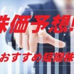 勝法則 短期株 株価予想!!　株探 ユーチューバーピサロ先生の株攻略!!　2021年5月19日オススメ株