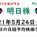 【明日株】明日の日経平均株価予想　2021年5月24日(月)　リスク取れないよ！！( ﾟДﾟ)