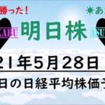 【明日株】明日の日経平均株価予想　2021年5月28日(金)　全力レバレッジという最終奥義で何とかメンツを守った明日株氏　メンバーと共に笑顔でおやすみなさい(/ω＼)