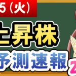 【株価予想】2021年06月15日(火)の上昇株AI予測速報【金十字まどか】