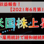 【投資】今週の運用報告！金融緩和継続期待で米国株上昇！－株、FX、仮想通貨ー【2021年6月第1週】