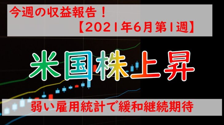 【投資】今週の運用報告！金融緩和継続期待で米国株上昇！－株、FX、仮想通貨ー【2021年6月第1週】