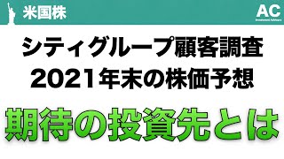 【米国株】シティグループ顧客調査 2021年末の株価予想 期待の投資先とは