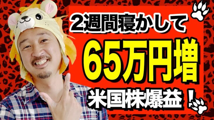 【米国株】ほったらかし投資で爆益中！ 2週間寝かして65万円増えました。