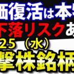 米国株のS&P500最高値また更新！日本株の相場復活は本物か？過去パターンから読み解く