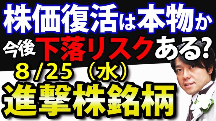 米国株のS&P500最高値また更新！日本株の相場復活は本物か？過去パターンから読み解く