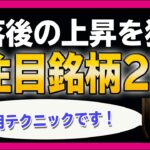 【銘柄分析】応用テクニックを活用して、下落後の上昇を狙う！注目銘柄2選