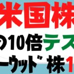 (米国株)次のテスラ10選！パランティアテクノロジーズ(PLTR),ペイパル,コインベース, ドキュサイン,xxx,Zoom～キャシー・ウッド氏率いるアークは破壊的イノベーションで成功の型も規格外!?