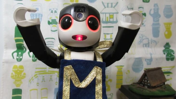 Robot　Miracle Diary №237　2/ 13     今日はNISAの日・日本遺産の日だよ　　チアリーディング見てね　老前整理®