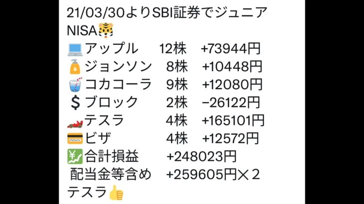 ２／１９（土）SBI証券でジュニアNISAを運用した結果速報🐯