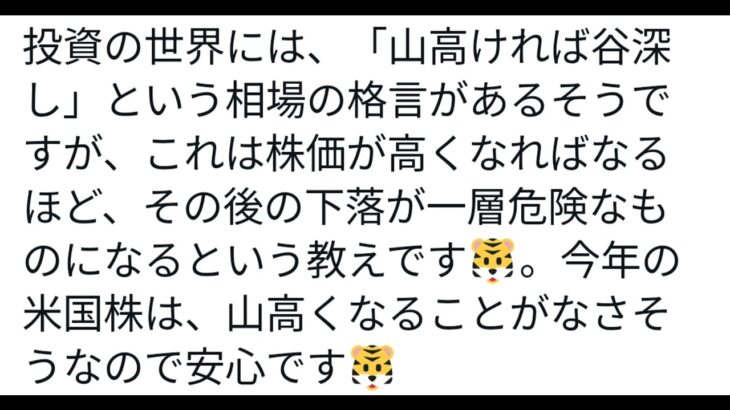 今年の米国株。