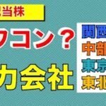 【日本株】高配当なのにオワコンなの？電力会社４社の業績と展望。発電設備の推移について　（関西電力・中部電力・東京電力・東北電力）