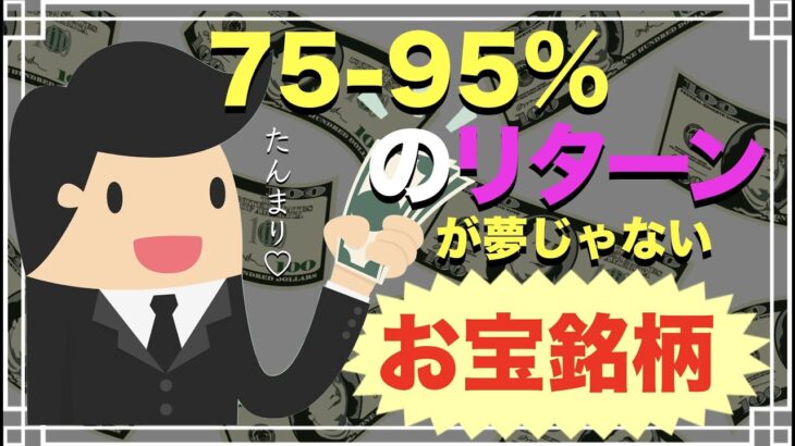 【米国株】75-95%のリターンが狙える米国株TOP2銘柄