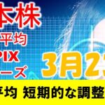 日本株 日経平均は短期的調整入り？全体的に利益確定を検討すべきタイミング。空売りはリスク選好の高い方は始めても良いかも。。