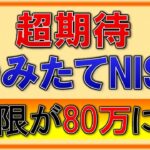 積立NISA【税制改正で80万に！？】