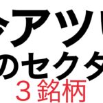 上昇しすぎな日本株セクターはこれ