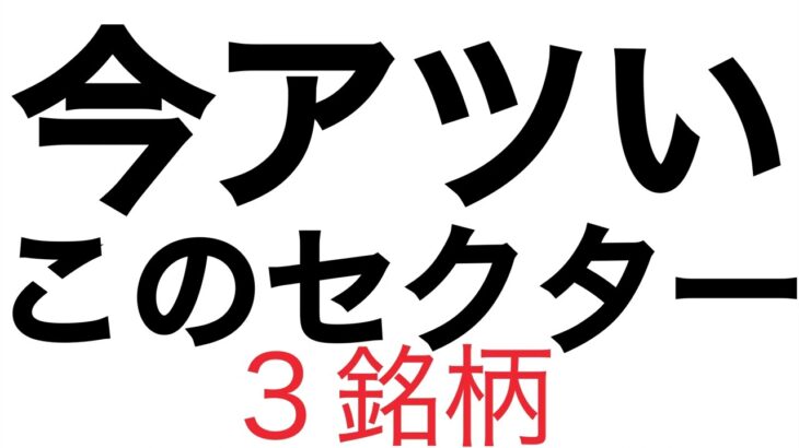 上昇しすぎな日本株セクターはこれ