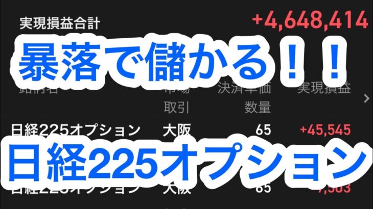 【25】暴落いつまで続く　日経225オプション【有料級】素人が、実は1番FIREしやすい！儲かる　資産が増える　急落　日経平均　急騰　大暴落　暴騰　ビットコイン　バイナリー　株　失敗　大損　レバナス