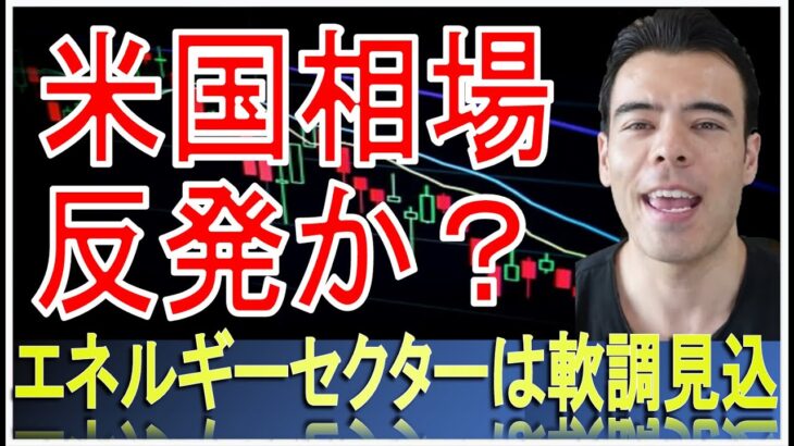 今週の米国株は反発か？エネルギーセクターは下落予想　#高橋ダン 【切り抜き】 From 2022/6/19 ＃米国株 ＃ダウジョーンズ ＃ナスダック ＃SP500 #CPI