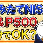 【注意点アリ】つみたてNISAはS＆P500だけでOK？米国株式への集中投資で気を付ける事は？