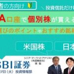 【SBI証券】NISA口座で個別株が買える！銘柄選びのポイントやおすすめ銘柄をご紹介(6/7)