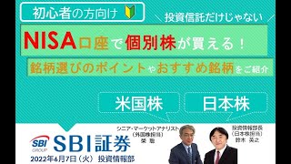 【SBI証券】NISA口座で個別株が買える！銘柄選びのポイントやおすすめ銘柄をご紹介(6/7)