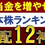 【配当金が20年増える】日本株ランキング・12銘柄！将来の高配当株・おすすめは？