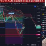 【7/25】日本株下落。日経平均２００日線でまた急落か？円高加速、仮想痛が下落。米国株、ナスダック上がれ！！