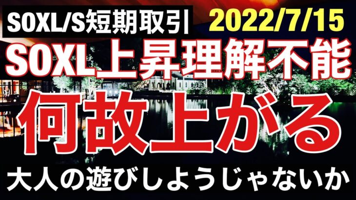 理解不能?何故米国株上がる? SOXL/SOXS暴落局面を乗り切る、短期売買指値公開!.3ターン目開始! 大人の遊びしょうじゃないか! レバナスで自由を手に入れる外伝42回 2022/7/15(金)