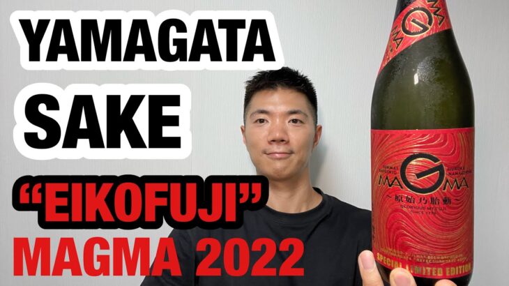 Sake 166 : EIKOFUJI MAGMA 2022   |  Japan Vlog  :  Tsumitate NISA 18th Result