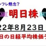 【明日株】明日の日経平均株価予想　2022年8月23日　レバに決めた！