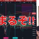 【8/19】ビットコイン急落で300万割れ。米国株、ナスダック先物も安い。日本株、日経平均正念場か？円安加速で137円突破寸前！！