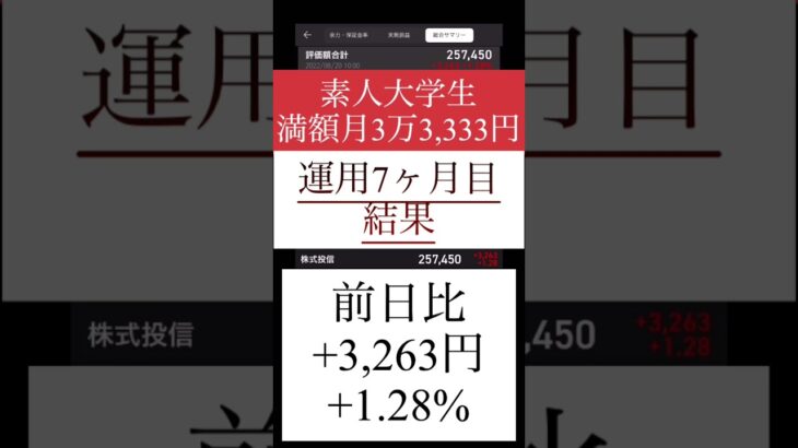 【積立NISA・満額7ヶ月目】素人大学生が毎月3万3,333円積み立てした結果【8月20日時点】eMAXIS Slim 米国株式(S&P500)