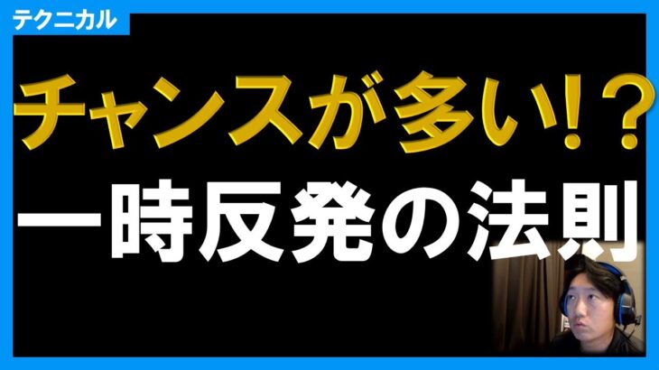 【テクニック】チャンス多数？上昇時の下落時も取れる一時反発ノウハウとは？