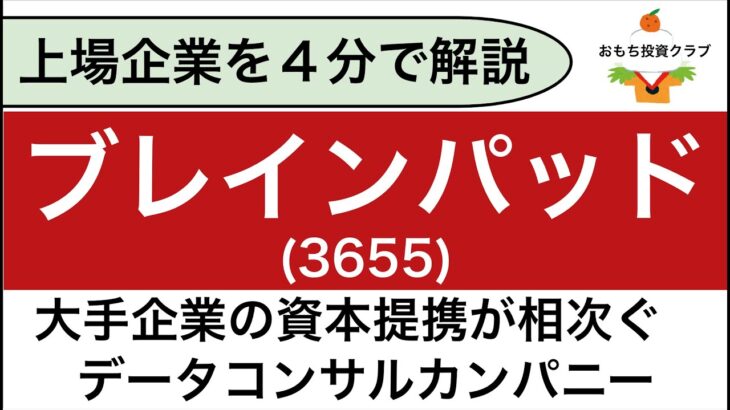 【日本株】ブレインパッド(3655)を解説