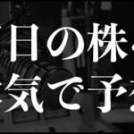 [11/17]株雑談：明日の株を本気予想！