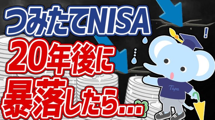 【つみたてNISA】20年後に暴落したらどうすれば良い？大事な考え方3選