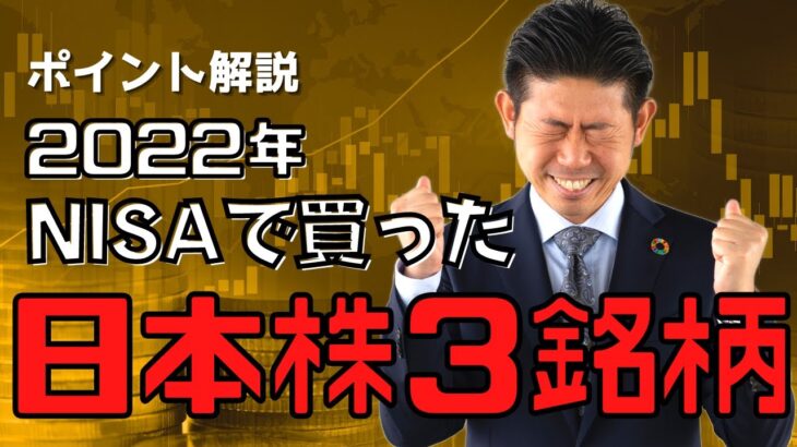 【事例紹介】2022年NISAで購入した日本株３銘柄の実際のパフォーマンスを株価見通し解説付きで公開!!