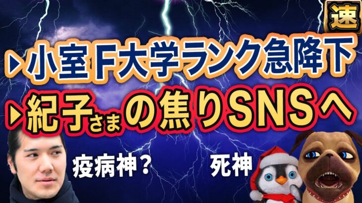【小室圭】不正入学させたフォーダム大の株急降下で真っ青【A宮K子様】失敗と赤っ恥の上塗り。事態はますます悪化【切り抜き】