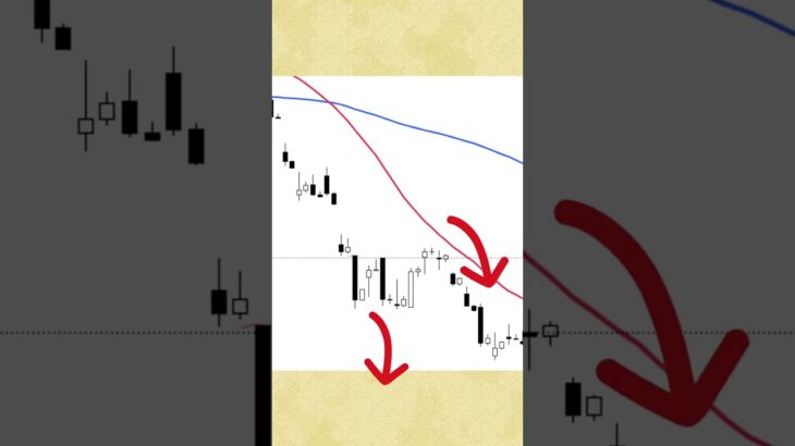 【驚愕】江戸時代の手法で株価を予想してみた！？様々なテクニカル分析を学びたい方必見！#shorts #テクニカル分析