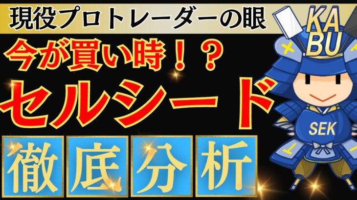 【今が買い時！？】セルシードをテクニカルチャートで徹底分析！SEKの株式投資テクニック