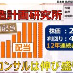 【日本株銘柄紹介#39】構造計画研究所【ゆっくり解説】