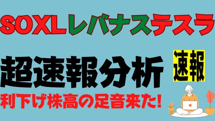 【SOXL,レバナス,テスラ株,米国株】利下げの兆候で市場激変！銀行株ショートカバーは偽りのお祭り！【超速報&分析】