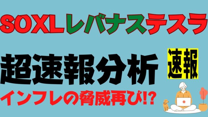 【SOXL,レバナス,テスラ株,米国株】相場を決める鍵は2つ！インフレと○○のダブルパンチ！【超速報&分析】