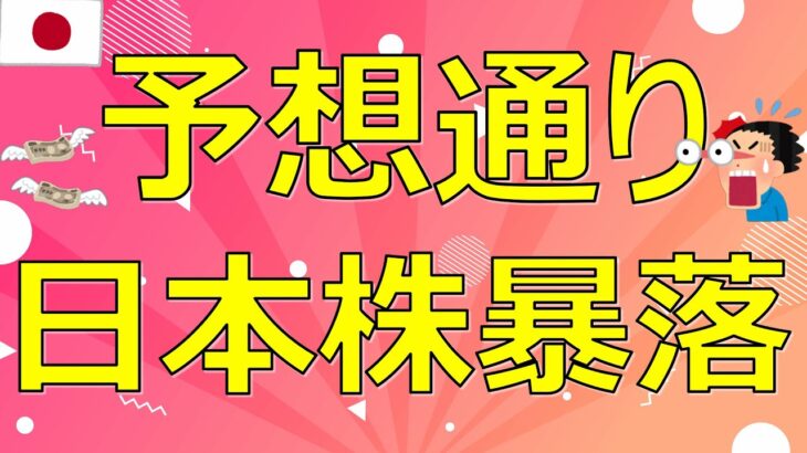 予想通り日本株暴落　今後は？【FIRE投資家が解説】