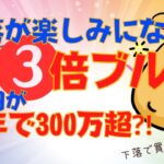 NASDAQ100、30%下落時に３倍ブル?!＊5年後10年後、10万円がいくらになる可能性があるのか…購入実績も公開♪(レバナス、レバレッジナスダック100、米国株投資)