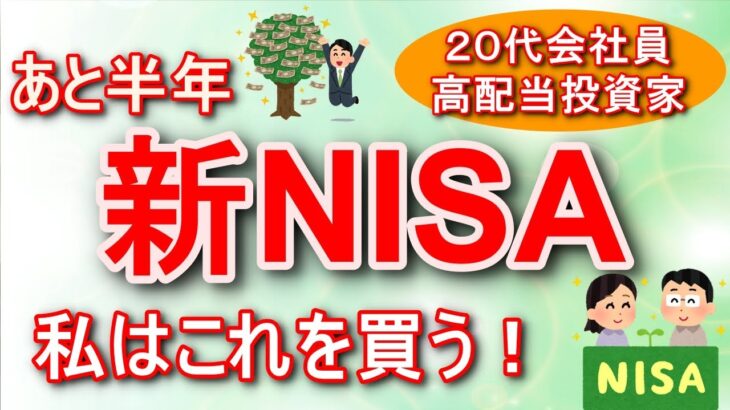 【新NISA】私はこれを買う！　20代　米国高配当投資家